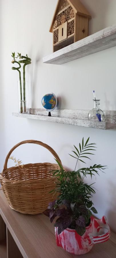 Lily Home_Lefkada ~ Private Country House Kondaraina ภายนอก รูปภาพ
