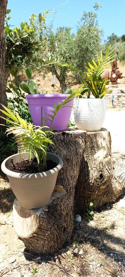 Lily Home_Lefkada ~ Private Country House Kondaraina ภายนอก รูปภาพ