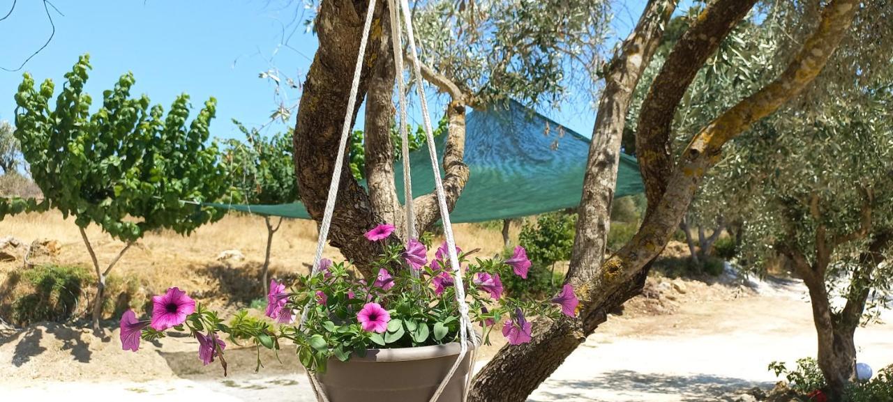 Lily Home_Lefkada ~ Private Country House Kondaraina ภายนอก รูปภาพ