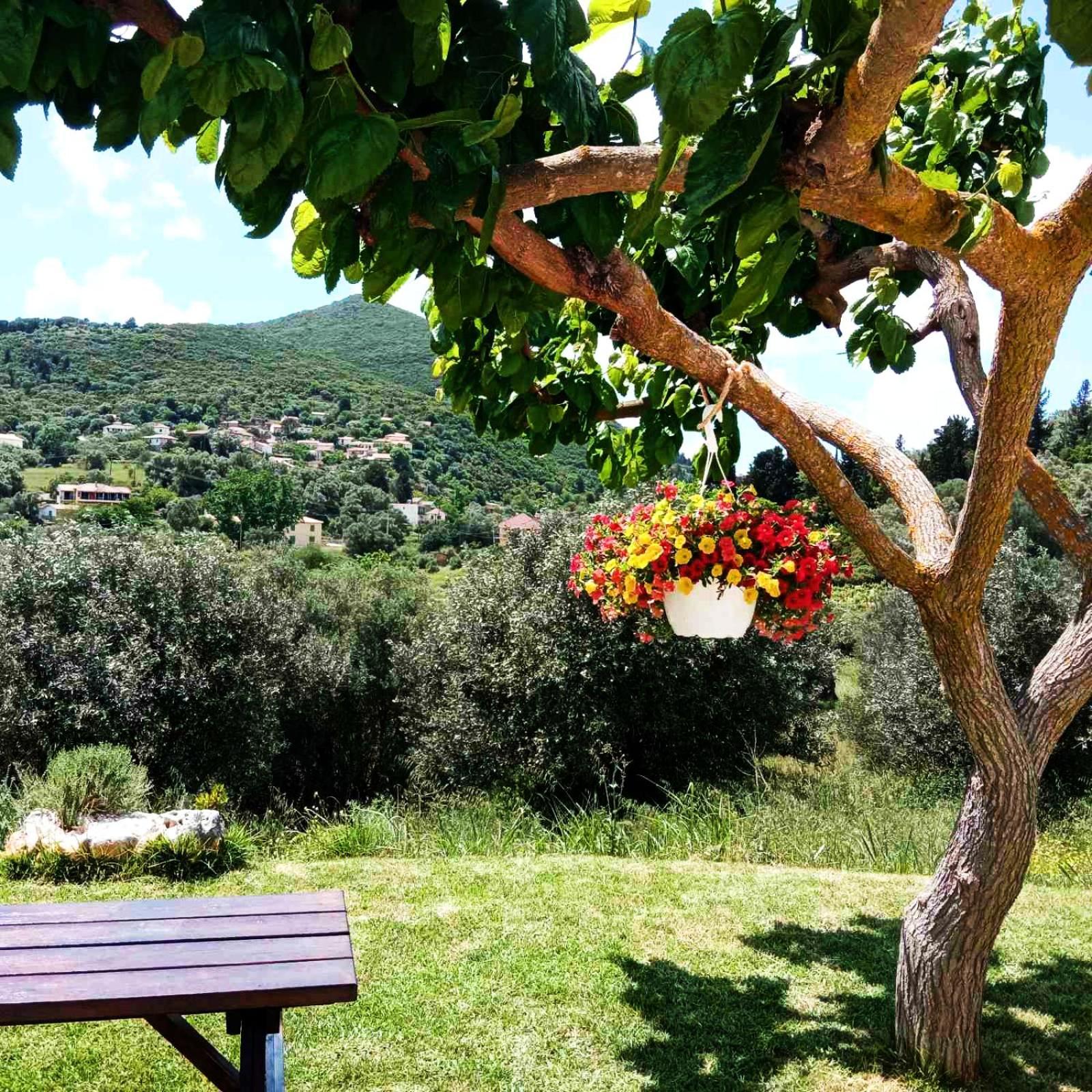 Lily Home_Lefkada ~ Private Country House Kondaraina ภายนอก รูปภาพ